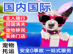 太原空运公司国际宠物托运 【国